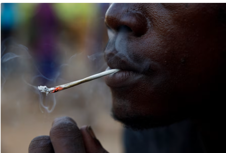 Gambia losing the war on the trafficking and use dangerous drugs of abuse. GFA is greatly concerned